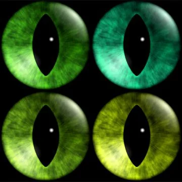 Texture of cat's eyes with vertical pupil of carnivorous felines. On black イラスト素材