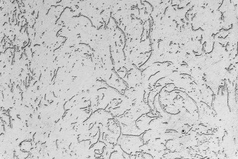 Texture of the cement lining on the wall of the house Stock Photos