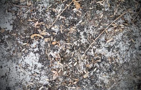 Texture of cement stone wall Stock Photos