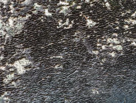 Texture cement wall background with moss Foto stock