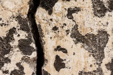 Texture cement wall background Stock Photos