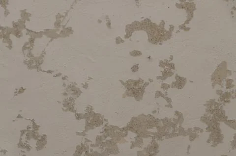 Texture, cement wall with putty, background Photos