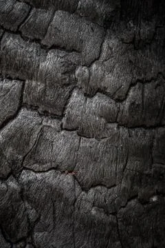 Texture of charcoal after burning Stock Photos