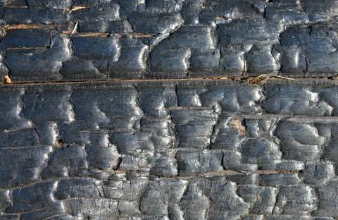 The texture of the charred boards. Stock Photos