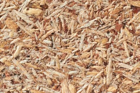 The texture of a chipboard close-up (macro), the background from compressed s Stock Photos