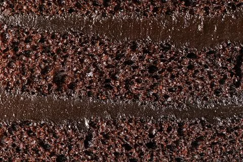 Texture of chocolate sponge cake. Stock Photos