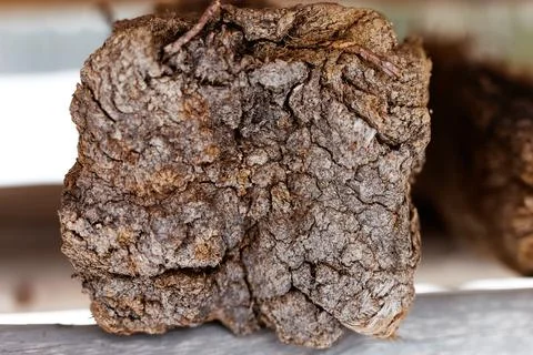 Texture of chunk of peat piled up for drying. Peat production Stock Photos