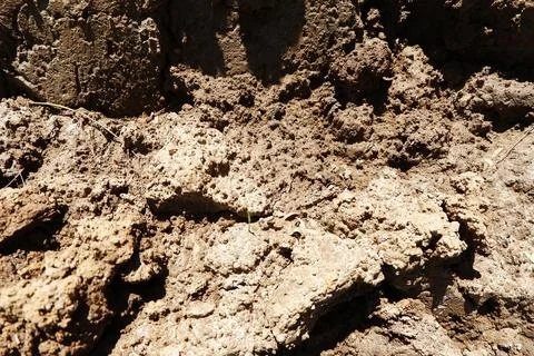 The texture of the clay that is being exposed to the sun Stock Photos