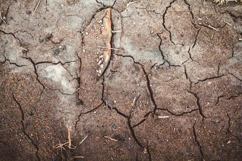 The texture of the clay Stock Photos
