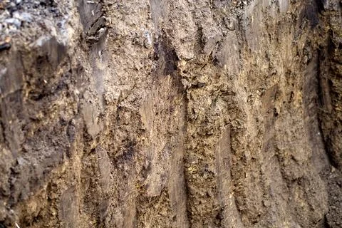 The texture of the clay soil in the pit after excavator work. Excavator bucket Foto stock