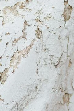 Texture Close Up statue of Chipped White peeling paint, covered Stock Photos