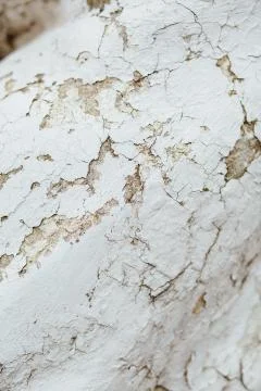 Texture Close Up statue of Chipped White peeling paint, covered Stock Photos