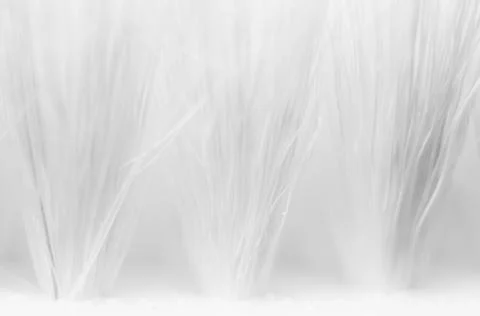 Texture of clothes brush close up white Stock Photos