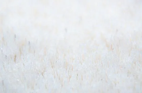 Texture of clothes brush close up white Stock Photos