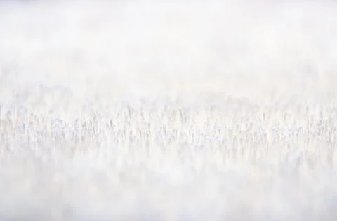 Texture of clothes brush close up white Stock Photos