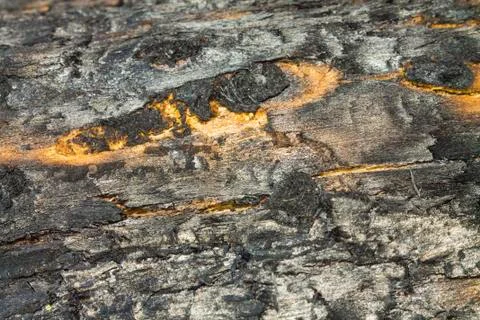 The texture of coal with the eye Stock Photos