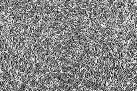 Texture of coarse rice Stock Photos