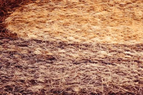Texture of coarse wool Stock Photos