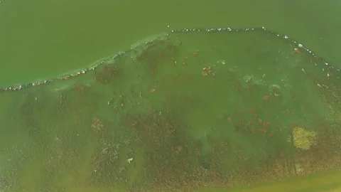 The texture of the coast on the Kiev sea Stock Footage 191081199
