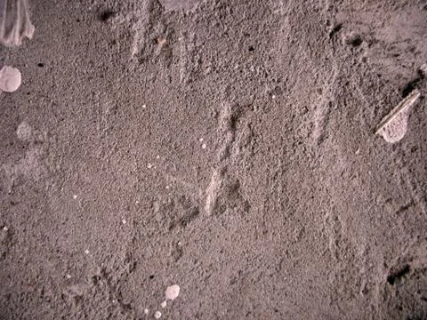 Texture of coating material Stock Photos