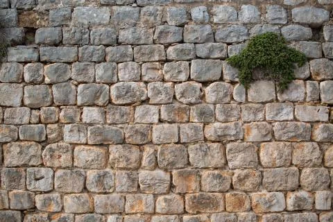 Texture of cobblestone street. 写真素材