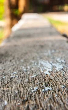 Texture in coconut tree Stock Photos