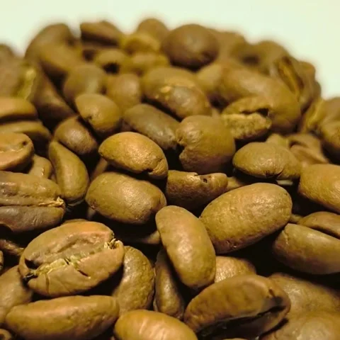 The texture of the coffee beans feels warm and fragrant. Vídeos de archivo 328493879