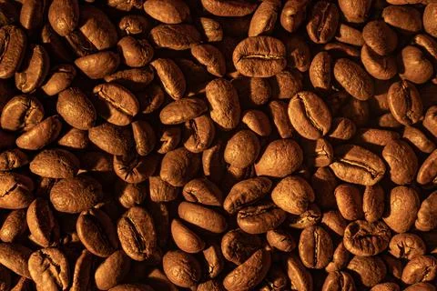 Texture of coffee beans, light soft light and steam from coffee. Fotos de archivo
