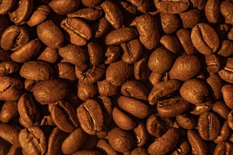 Texture of coffee beans, light soft light and steam from coffee. 写真素材