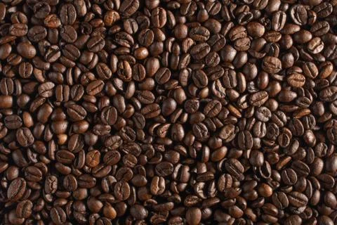 The texture of coffee beans Stock Photos