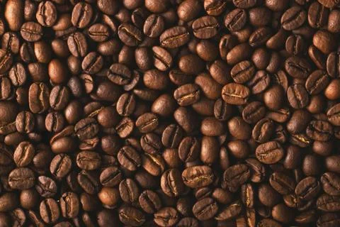 Texture of coffee seeds, selective focus, close-up Stock Photos