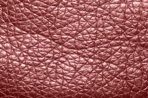 Texture colored skin Stock Photos