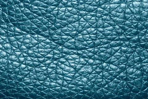 Texture colored skin Stock Photos