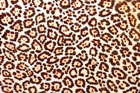 Texture of colorful leopard fur Stock Photos