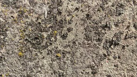 The texture of concrete and stone of different colors. Made on mobile in the Stock-Fotos