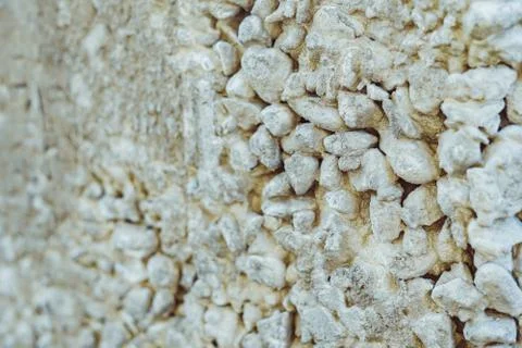 The texture of the concrete 库存照片