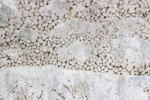 Texture of the concrete wall from the block Stock Photos