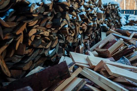 The texture of the coniferous forest is folded, felling of trees, firewood Stock Photos