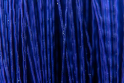 A texture consisting of dark blue in plastic twigs real close to each other. Foto stock