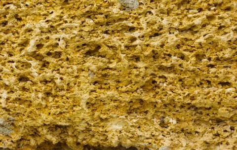 Texture of coquina stone Foto stock