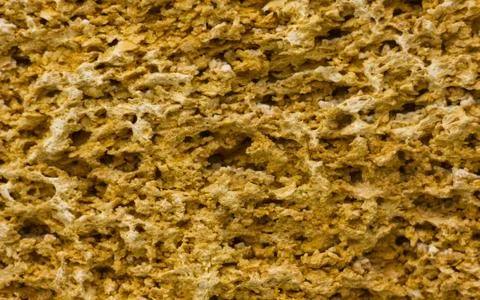 Texture of coquina stone Stock Photos