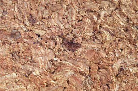 Texture of the cork surface. Closeup Stock Photos