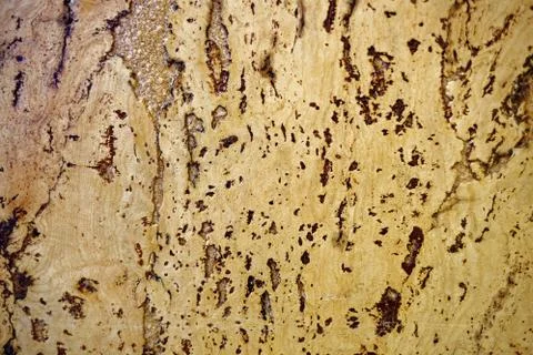 The texture of a cork tree. Empty yellow surface with cracks. Abstract backgr Foto stock