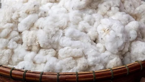 Texture of cotton. Cotton wool. Stock Footage 305816624