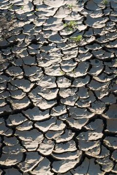 Texture. Cracked clay. Sunset. Partial blur. Stock Photos