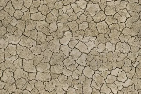 Texture cracked earth Stock Photos
