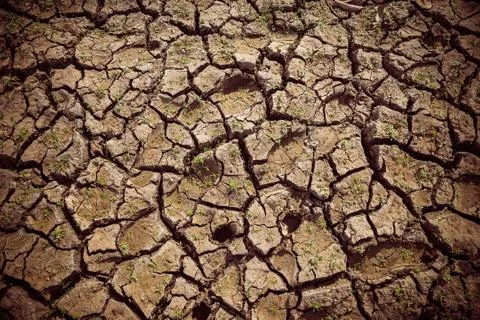 The texture of cracked earth Stock Photos