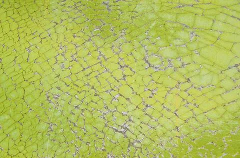 Texture of cracked green paint, horizontal format Stock Photos