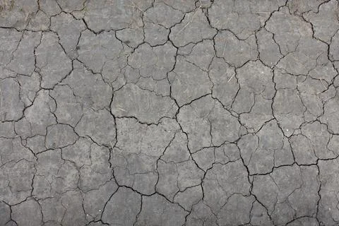 Texture. Cracked ground surface. Dry land. Cracks in the ground. Stock Photos