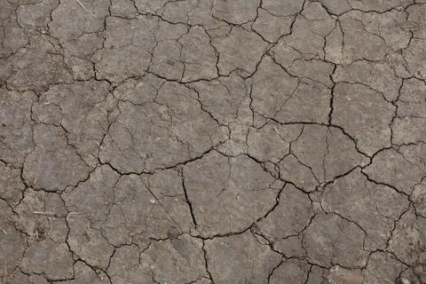 Texture. Cracked ground surface. Dry land. Cracks in the ground. Stock Photos